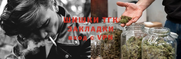 дживик Арсеньев