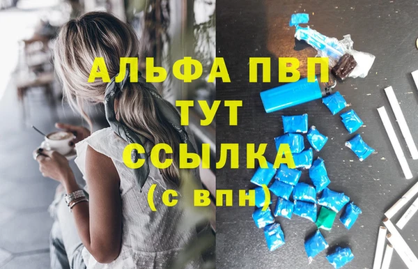 дживик Арсеньев