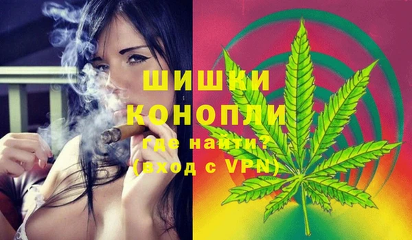 дживик Арсеньев